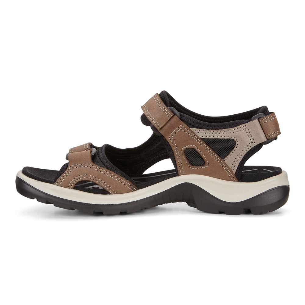 Sandalias Mujer - ECCO Yucatan - Beige - OCS609573